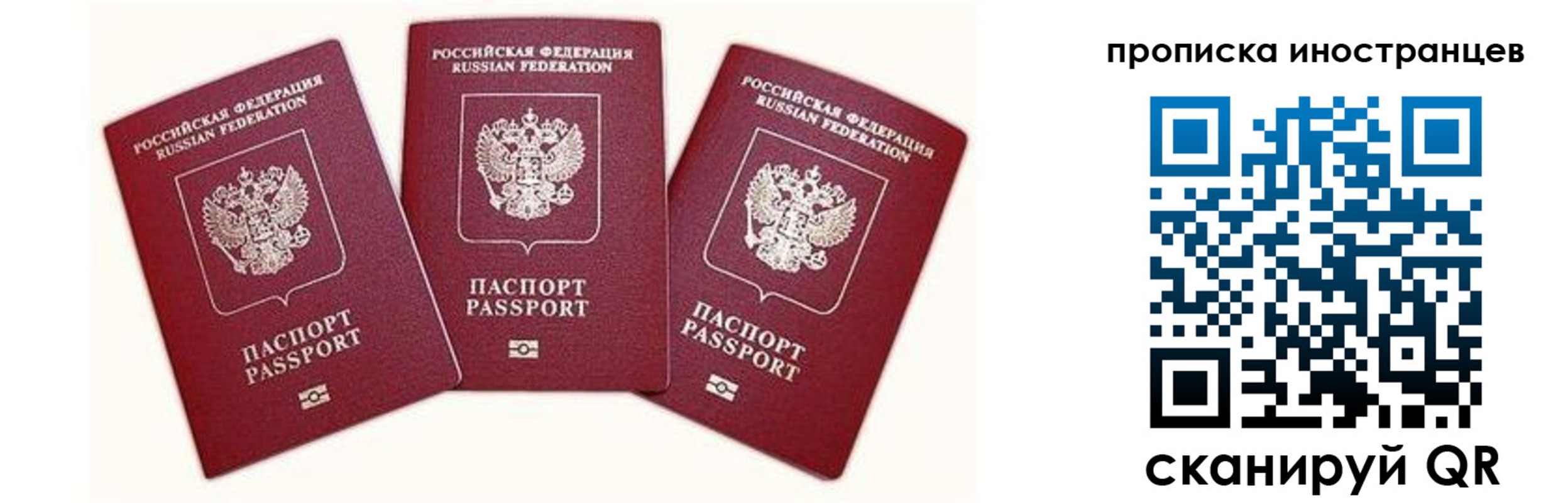 прописка в Подольске